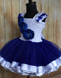 Royal Blue and White Ribbon Trim Tutu, Blue Tutu Dress - Little Ladybug Tutus