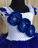 Royal Blue and White Ribbon Trim Tutu, Blue Tutu Dress - Little Ladybug Tutus
