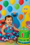 Abby Cadabby Tutu, Abby Cadabby Costume, Abby Caddaby Birthday, Abby Caddaby Party
