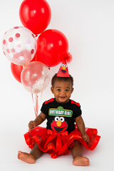 Elmo Birthday Tutu Outfit,  Sesame Street Birthday Party