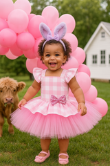 Farm Birthday Pink Gingham Tutu Dress