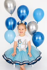 Bluey Birthday Tutu Outfit, Bluey Party, Bluey Birthday