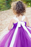 Plum Tutu, Plum Tutu Dress, Plum Flower Girl Dress, Purple Photography Prop Dress - Little Ladybug Tutus