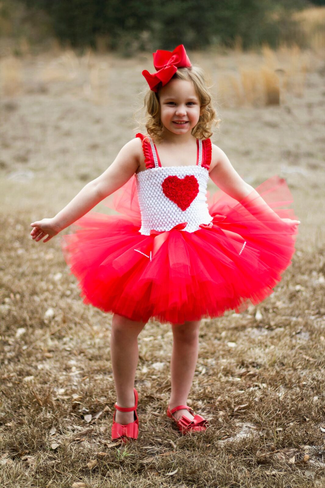 Tulle Little Girl Valentines Day Dresses Valentines Day Tutu Dress