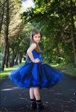 ﻿Evie Tutu, Evie Tutu Dress, Girls Evie Tutu, Descendants Tutu, Descendants 2 Tutu, Descendants, Evie, Mal, Uma, Descendants Birthday, Descendants Party, Evie Costume, Descendants Costume - Little Ladybug Tutus