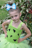 Pebbles Tutu, Pebbles Tutu Dress, Girls Flinstones Costume - Little Ladybug Tutus