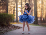 Navy Tutu Dress, Navy Pageant Dress, Navy Sequin Tutu