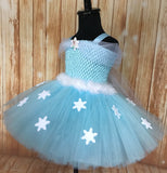 Elsa Tutu, Frozen Tutu, Frozen Elsa Tutu Dress, Girls Frozen Tutu - Little Ladybug Tutus