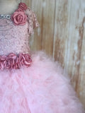 Blush Lace Ruffled Tutu Dress